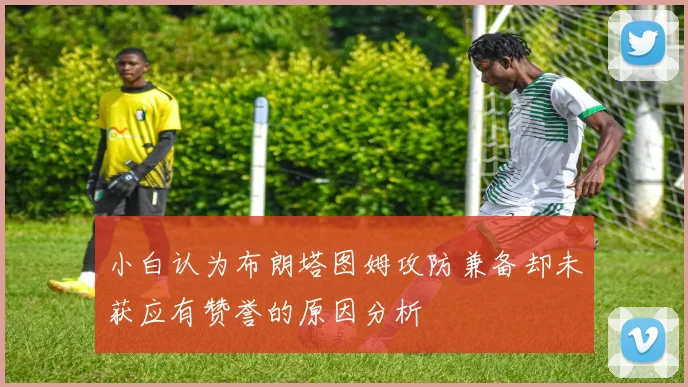 小白认为布朗塔图姆攻防兼备却未获应有赞誉的原因分析